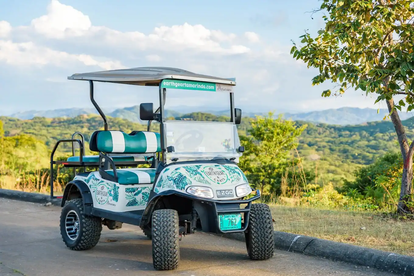 Electric golf cart rental option