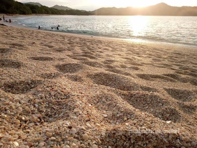 Playa Conchal Costa Rica